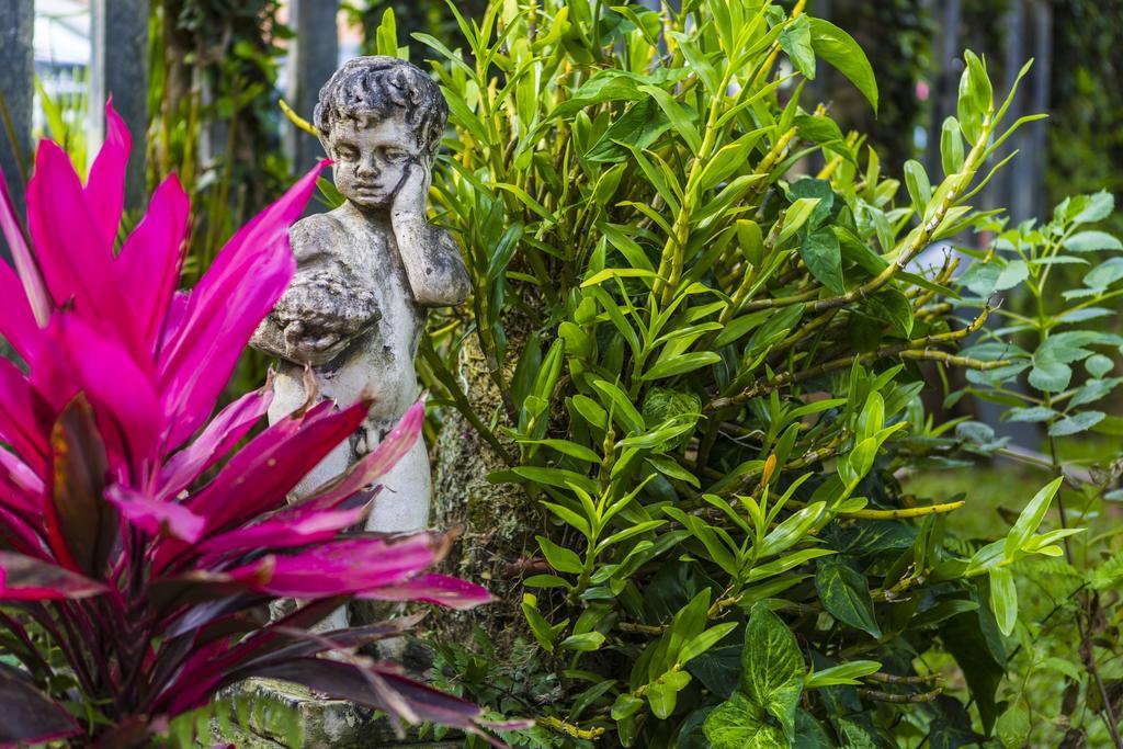 Pousada Banana House Bombinhas Luaran gambar
